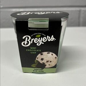 Breyer's Mint Chocolate Chip Scented Candle - Mint Green & Black
